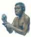 Homo ergaster.jpg