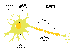 Neuron.gif